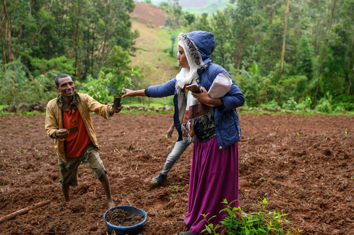 A One Acre Field officer assists a smallholder farmer to plant trees in his field. 