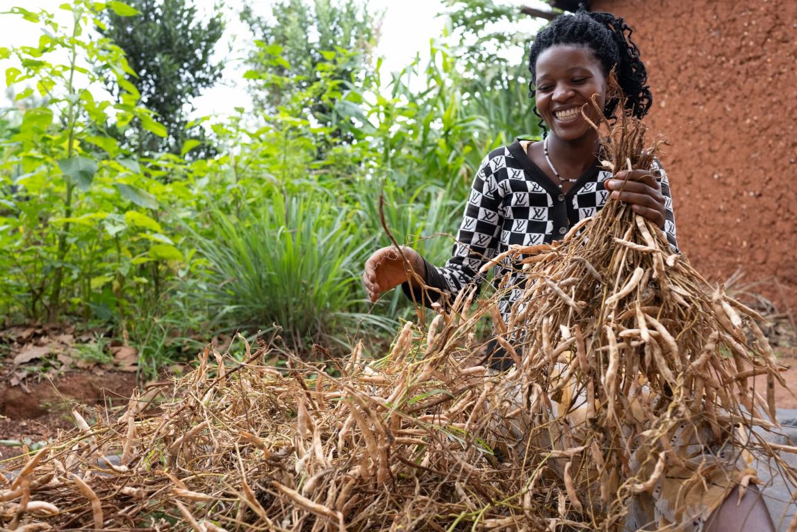 Alphonsine Musanabera is a 24-year-old farmer from Rwimbogo cell, Rwamagana district. She grows beans, maize, groundnuts,s and fruits. She has been farming with One Acre Fund since 2020. Since joining her harvest has increased and sold surplus hwich helped her invest in her shop business. She also baught a solar lamp from One Acre Fund, which is helping her to light her shop when it is dark.